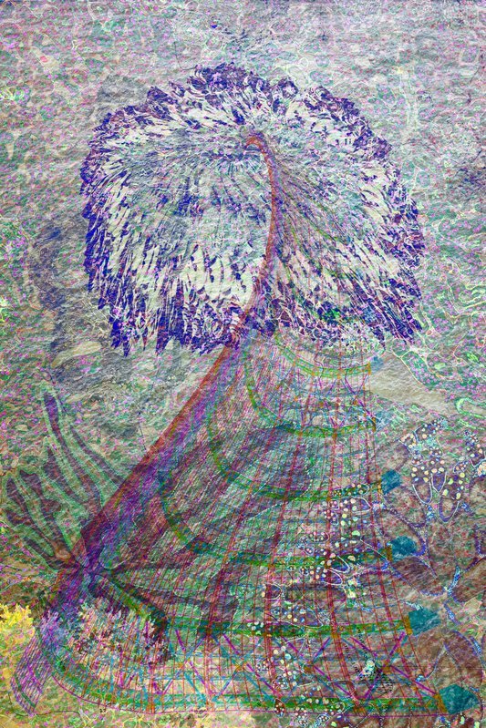 Alex Fischer, Mandala, 2018-07-15, digital